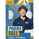 Phoenix Call