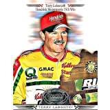 Super Shots Sports Hendrick Motorsports 100th Win Artwork Collection - Silver 2024