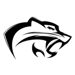 Cobalt Institute of Math & Science