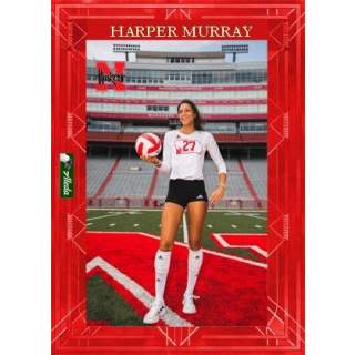 Harper Murray