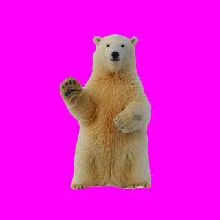 Polibear the Polar Bear